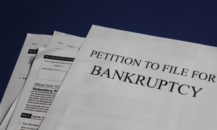 Bankruptcy Petition